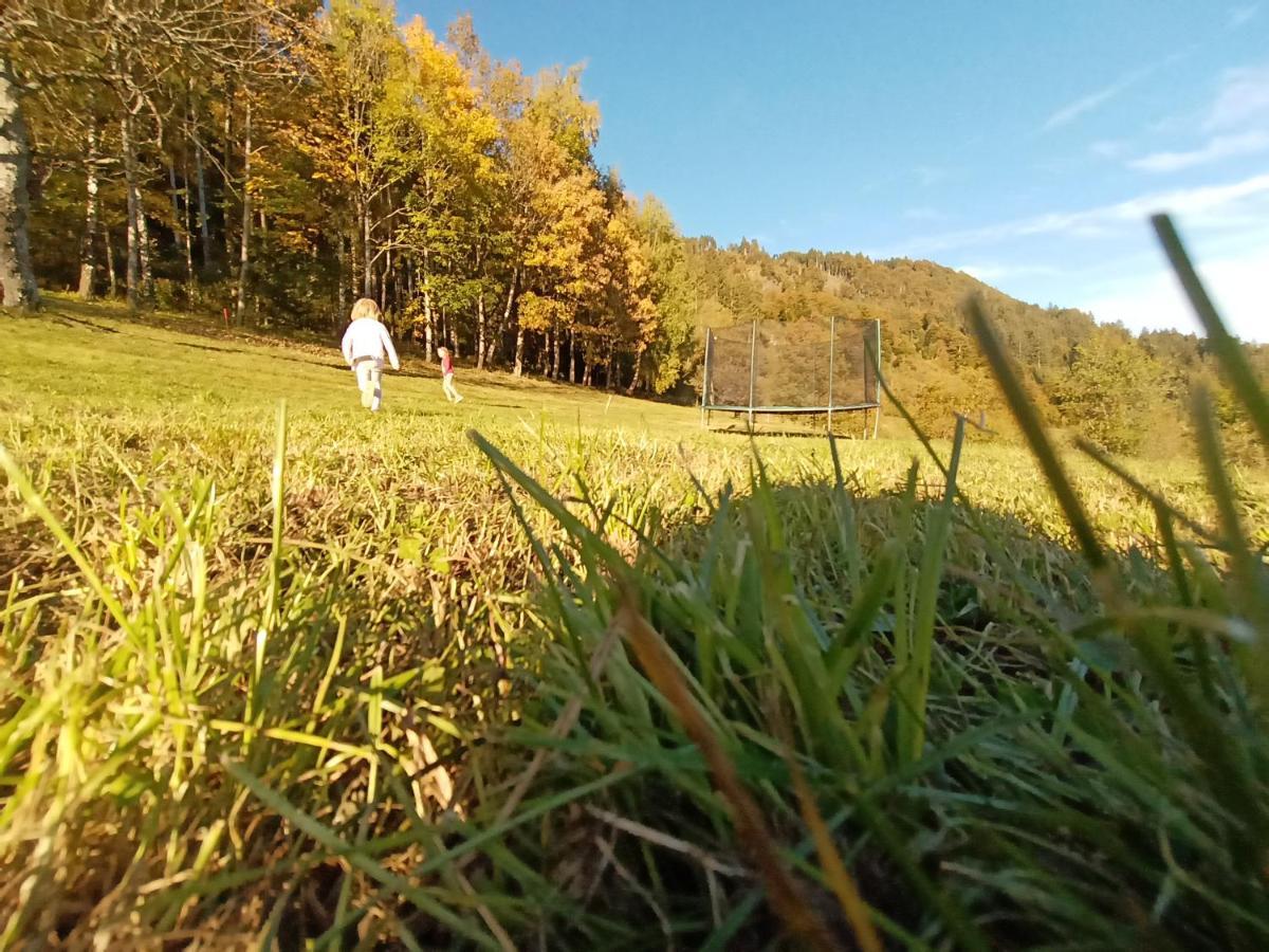 Waldner'S Ferienwohnung Hermagor-Pressegger See Buitenkant foto