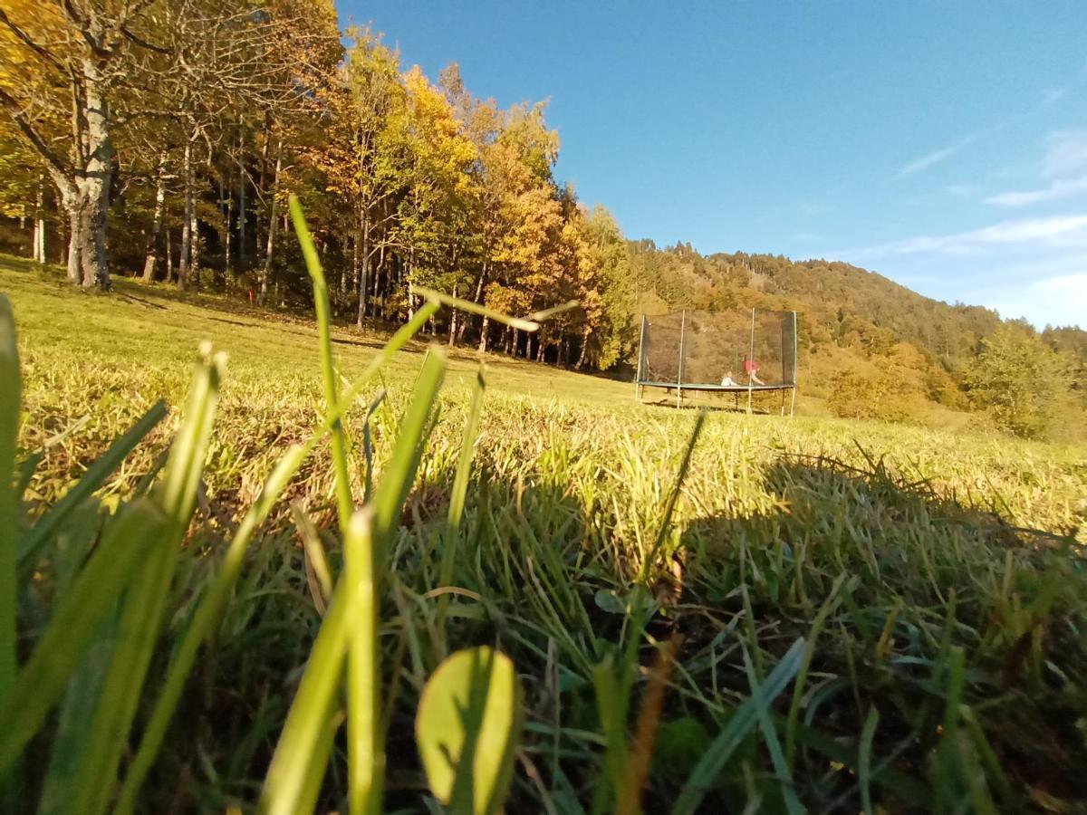 Waldner'S Ferienwohnung Hermagor-Pressegger See Buitenkant foto