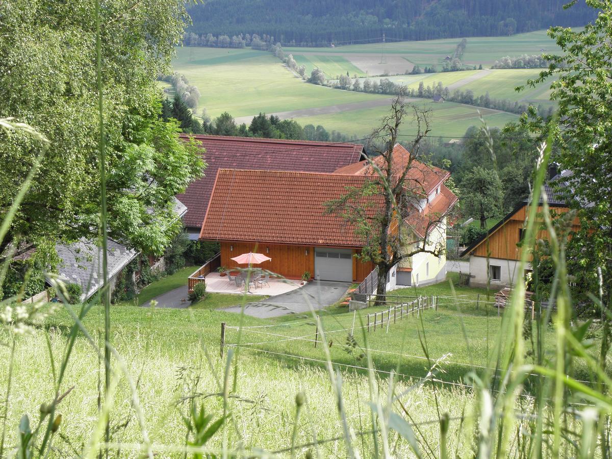 Waldner'S Ferienwohnung Hermagor-Pressegger See Buitenkant foto